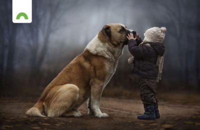 kid with big dog